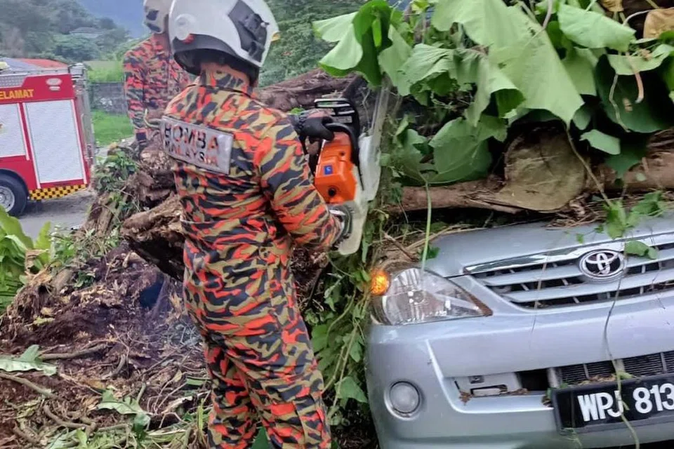 TRAGEDI MALANG: Anggota bomba daripada Balai Bomba dan Penyelamat Ampang memotong pokok tumbang yang menyebabkan dua lelaki maut di Jalan Bukit Belacan, Kampung Lembah Jaya Utara, Ampang, pada 19 Disember.