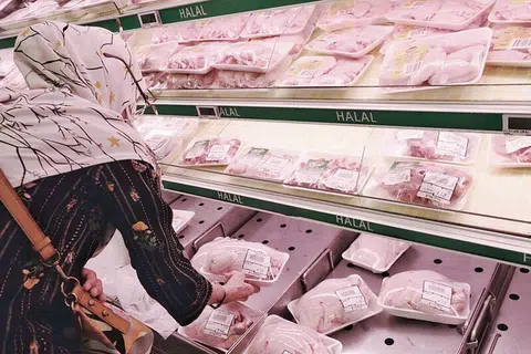 AYAM HIDUP KEMBALI: Penduduk negara ini dijangka dapat membeli ayam segar dari Malaysia mulai esok selepas empat bulan Malaysia menghentikan eksport ayam hidup ke Singapura.