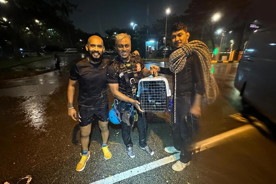 BEBASKAN KUCING: (Diri kiri) Encik Zulkifli Awab bersama penyelamat dan pakar akses tali yang turun ke dalam parit di Bedok Reservoir bagi menyelamatkan kucing iaitu Encik Muhammad Ali dan Encik Syafiq Faiqsyazwi pada 30 November.