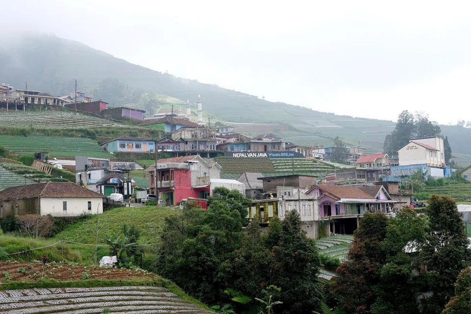 Nepal van Java adalah sebuah desa kecil yang terkenal dengan rumah penuh berwarna-warni di lereng Gunung Sumbing di Yogyakarta, Jawa Tengah. 