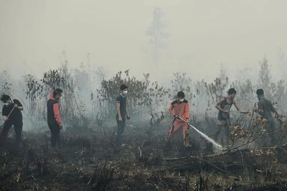 MUSIM TENGKUJUH MASIH BELUM TIBA: Relawan gigih cuba memadamkan kebakaran belukar di Palangkaraya, Kalimantan sedang seorang menteri kanan Indonesia mengaku tersilap membuat ramalan mengenai tempoh musim panas yang menyumbang kepada kebakaran hutan di negara itu dan menimbulkan masalah jerebu. - Foto AFP