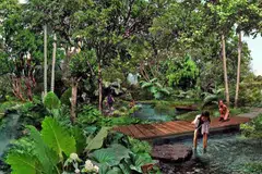 INDAH DAN PENUH MENGHIJAU: Inilah lakaran artis apabila bahagian tengah dan timur di Jurong Lake Gardens (JLG) siap untuk dinikmati semua penduduk dalam tempoh empat tahun mendatang. - Foto-foto NPARKS