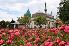 Hamparan bunga mawar merah tumbuh segar di luar Muzium Mevlana di Konya, Turkey.  