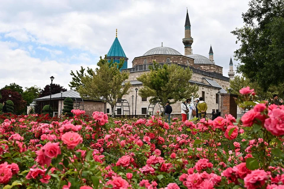 Hamparan bunga mawar merah tumbuh segar di luar Muzium Mevlana di Konya, Turkey.  