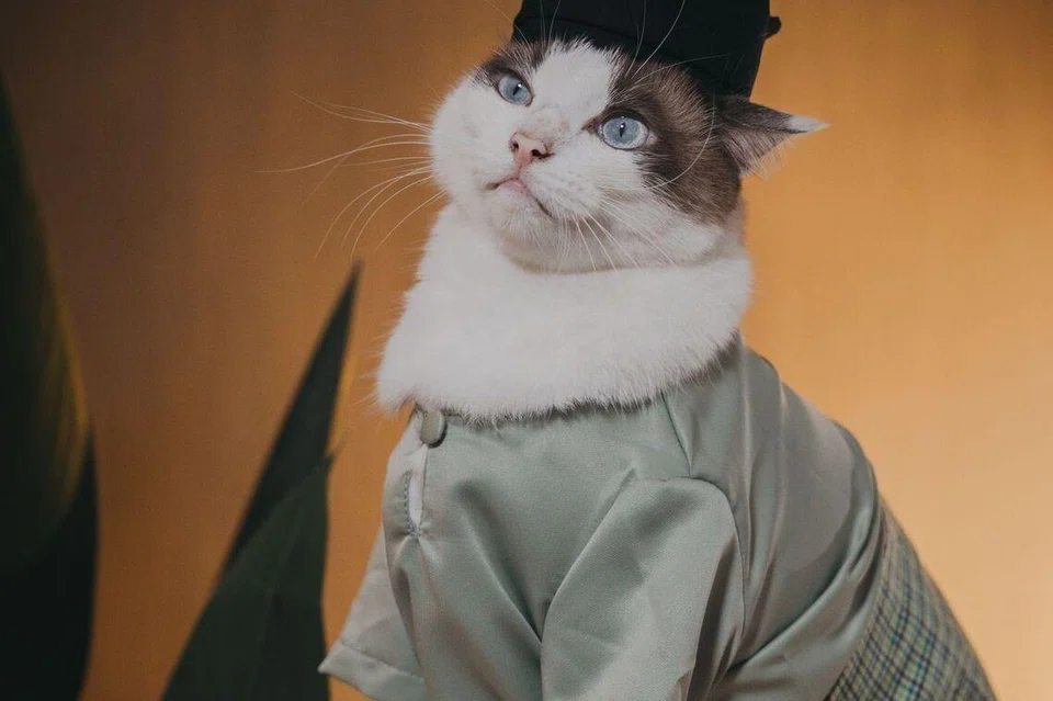 Ronaldo bergaya dengan bersongkok untuk jalan Raya