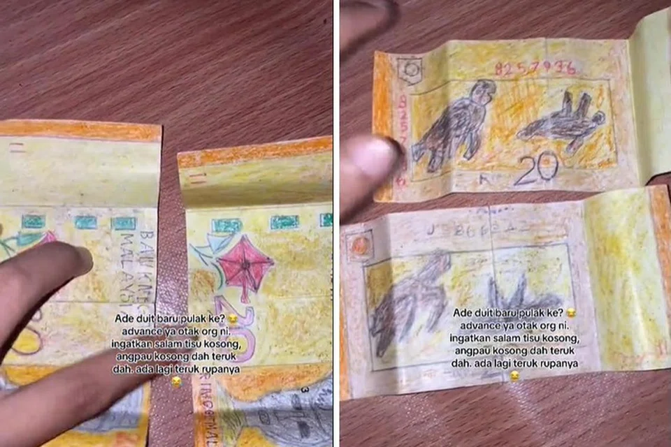 LUKIS SENDIRI: Seorang wanita di Malaysia menerima dua keping 20 Ringgit lukis sendiri lengkap dengan lukisan kura-kura, Bunga Raya Malaysia, serta potret Yang di-Pertuan Agong pertama Malaysia.