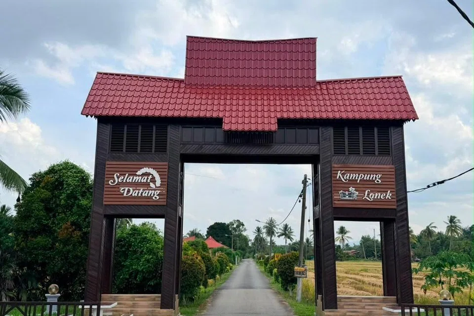 Kampung Lonek di Batu Kikir, Jempol, Negeri Sembilan, menawarkan penginapan dalam suasana kampung berlatarkan pemandangan sawah padi.