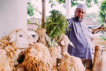 Pengarah IbadahSg Pte Ltd, Ustaz Mohamed Firdaus Masruhen, di salah sebuah kandang kambing di Indonesia. Gambar diambil pada 2024.