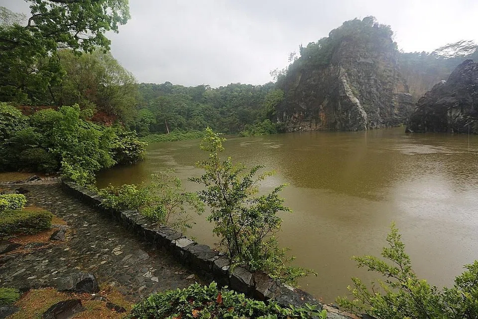 Taman Bandar dan Taman Alam Bukit Batok - Foto SHIN MIN 