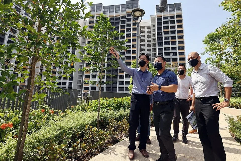 PANTAU PROJEK: Encik Desmond Lee (tengah) mendapat taklimat daripada kakitangan HDB berkaitan projek BTO Northshore Edge semasa lawatannya ke sana semalam. - Foto ZAOBAO