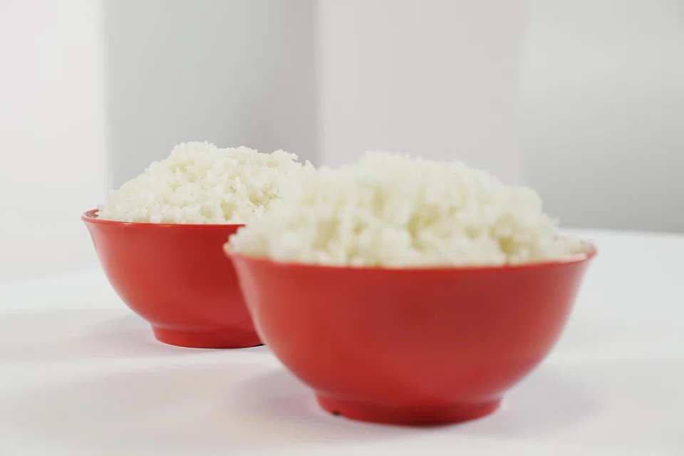 Sajak ‘Ini Nasi Dingin Yang Ku Suap’