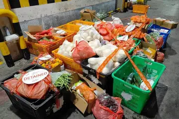 Agensi Makanan Singapura (SFA) rampas sekitar 1.6 tan sayur dan makanan yang sudah diproses dari Malaysia, diimport secara haram melalui pusat pemeriksaan Woodlands. 