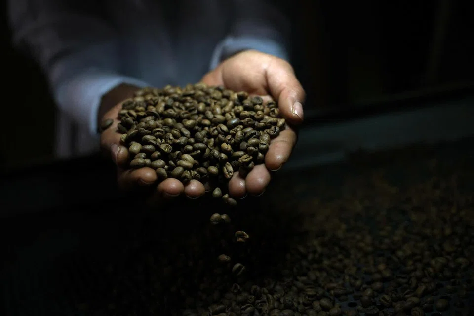 tarif, brazil, kopi, 