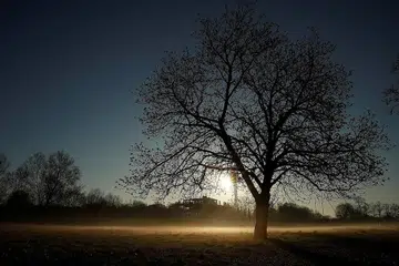 - Foto hiasan / REUTERS