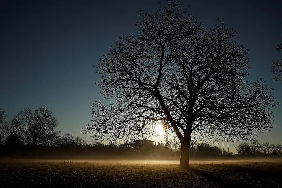 - Foto hiasan / REUTERS