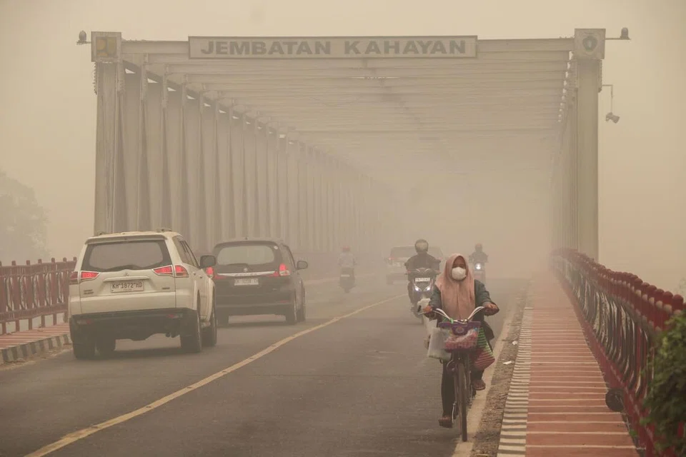 Seorang wanita memakai pelitup muka ketika berbasikal meredah jerebu tebal akibat kebakaran hutan dan tanah di Jambatan Kahayan, Palangka Raya, Kalimantan Tengah, pada 7 Oktober 2026. Jerebu akibat kebakaran di Kalimantan dan Sumatera turut merebak ke beberapa kawasan di Malaysia dan Singapura.