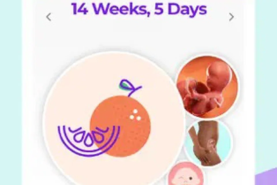 Melalui aplikasi, ‘What To Expect’, ibu hamil dapat meninjau perkembangan bayi dengan maklumat dan kesan visual yang menarik dan mudah difahami.
