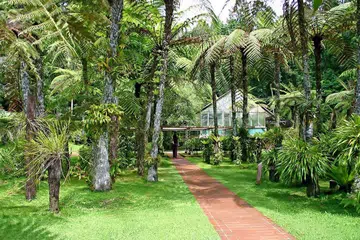 KEBUN BUNGA BALI: Nampak cantik alam semesta di kebun bunga kebanggaan Bali.