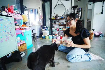 Cik Nur Danisyah Razimansah, menubuhkan Petitepurrssg, khidmat jagaan kucing di rumah, selepas melihat jurang dalam pasaran.