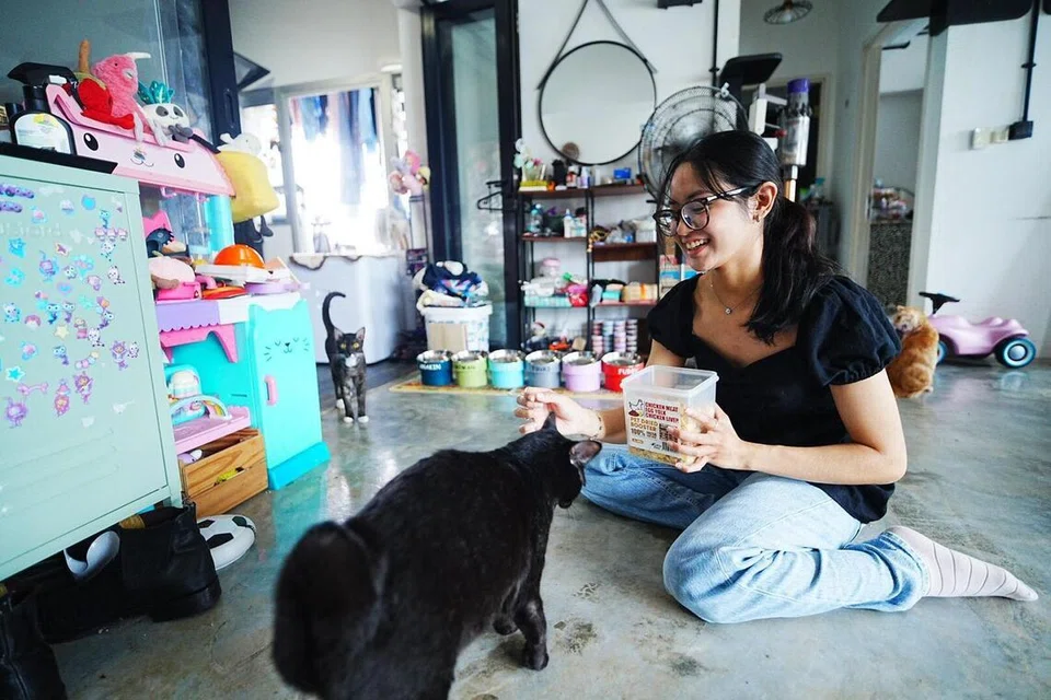 Cik Nur Danisyah Razimansah, menubuhkan Petitepurrssg, khidmat jagaan kucing di rumah, selepas melihat jurang dalam pasaran.