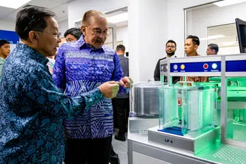 Anwar, rebut, pelaburan