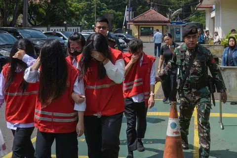 pemerdangan bayi indonesia