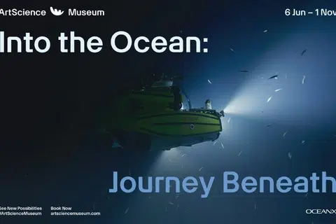 muzium ArtScience, lautan dalam, pameran marin
