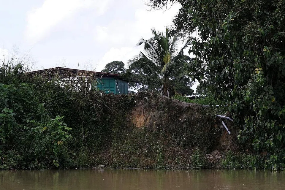 SUMBER PENCEMARAN: GANTUNG RAWAT AIR: Sumber utama pencemaran ammonia ialah sisa ladang ternakan, pelepasan sisa kilang kelapa sawit dan larut resapan dari tapak pelupusan sampah. Apabila kolam sisa kilang kelapa sawit Sedenak roboh April lalu, kandungan ammonianya mengalir ke Sungai Sayong, menyebabkan operasi loji rawatan air digantung.