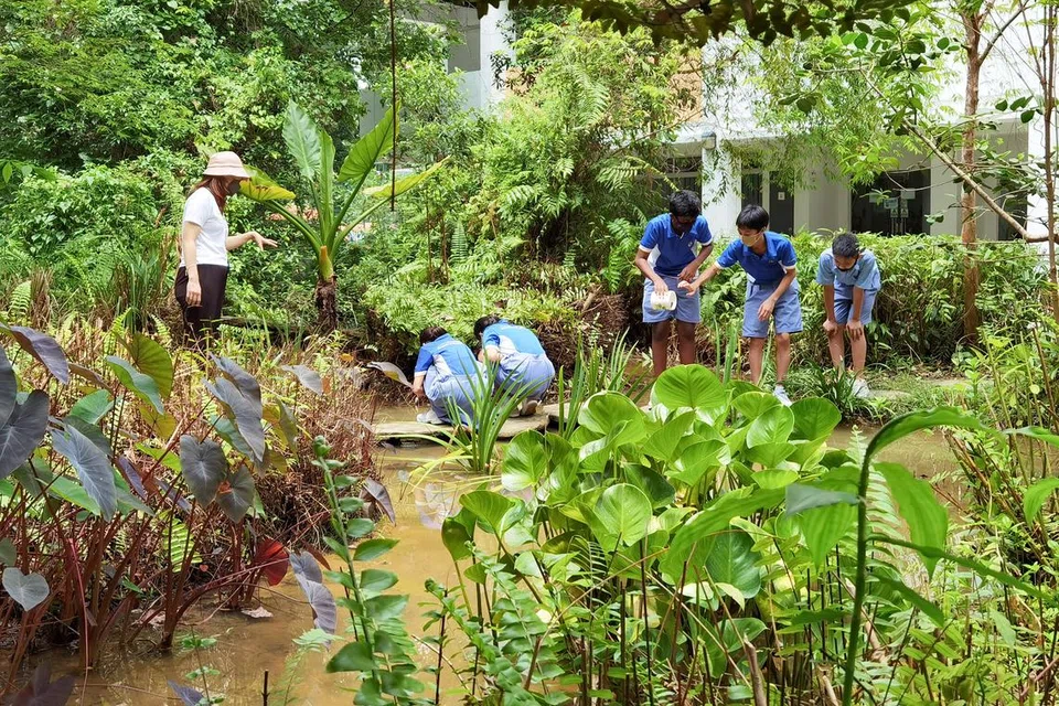 TIMBA ILMU DI LUAR BILIK DARJAH: Para pelajar Sekolah Menengah Commonwealth melakukan eksperimen sains di ‘paya’ dalam kawasan sekolah mereka.
