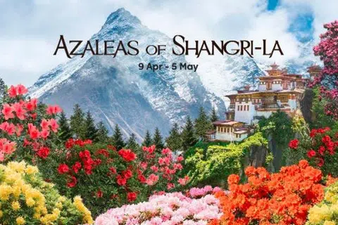 Kawasan ‘Cloud Forest’ dihiasi dengan pameran bunga baru, ‘Azaleas of Shangri-La’, yang memaparkan lebih 15 jenis bunga azalea dalam rona terang.