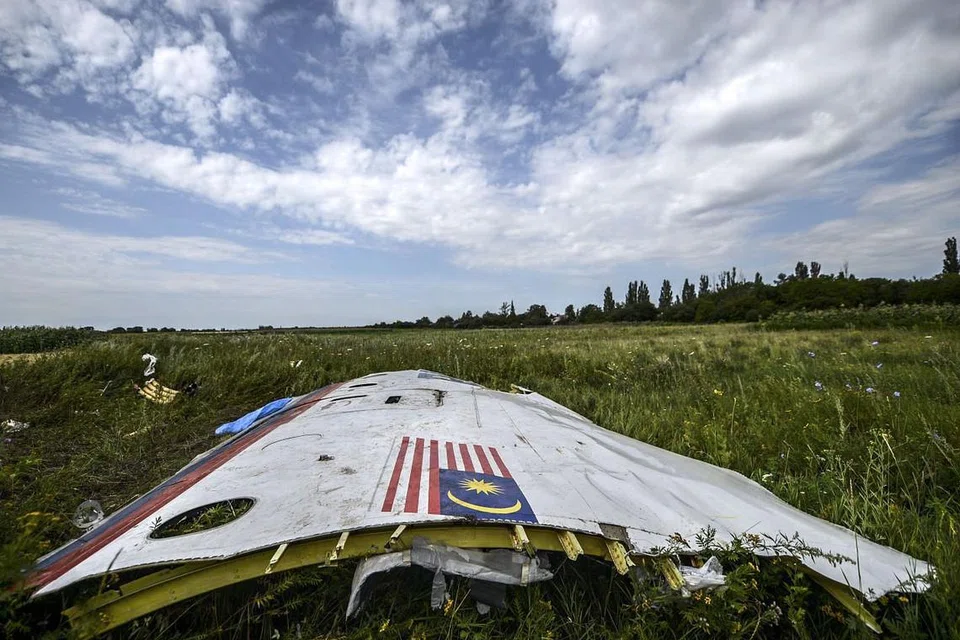 Gambar fail pada 20 Julai 2014 menunjukkan sekeping serpihan bangkai pesawat MH17 di sebuah padang berhampiran kampung Grabovo, di rantau Donetsk di Ukraine. 