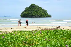 Antara tarikan pelancong di Krabi, Thailand.