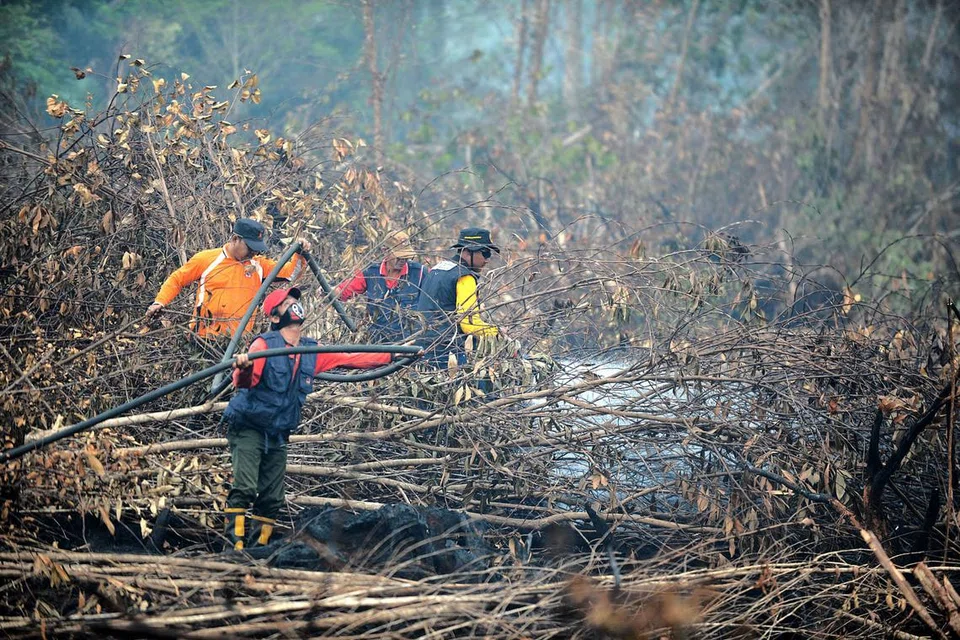 KEBAKARAN HUTAN DI INDONESIA: Jerebu tahun lalu yang berpunca daripada kebakaran hutan di Indonesia menjadi lebih buruk dek kesan El Nino, menyebabkan Singapura mengalami kerugian sekitar $700 juta.