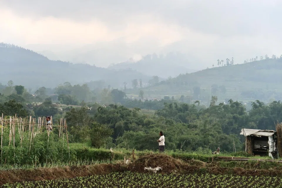 Pelajar Universiti Nasional Singapura (NUS) dan Universitas Brawijaya (UB) berpeluang mencedok kearifan tempatan orang desa Ngroto di Jawa Timur sambil menghirup udara nyaman dan menikmati pemandangan yang tiada tandingan.  