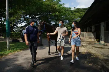 PELUANG NAIK KUDA: Ibu bapa dan anak-anak mereka berpeluang ‘beramah’ dengan kuda-kuda di tapak Singapore Turf Club. 