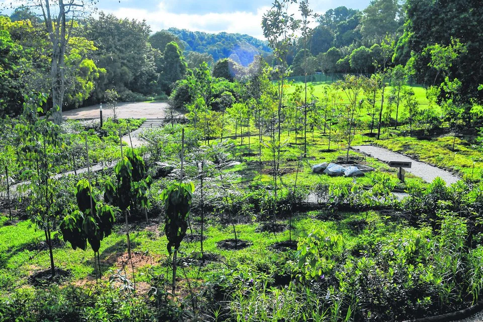 Persekitaran NParks