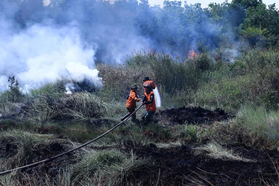 Anggota bomba daripada Badan Pengurusan Bencana Daerah (BPBD) dan Polis Indonesia dari Daerah Ogan Ilir giat memadamkan kebakaran hutan dan tanah di Kampung Palem Raya, Daerah Ogan Ilir, Sumatera Selatan, pada 1 September 2023.