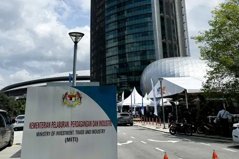 Pekan, Nanas, potensi, pelaburan
