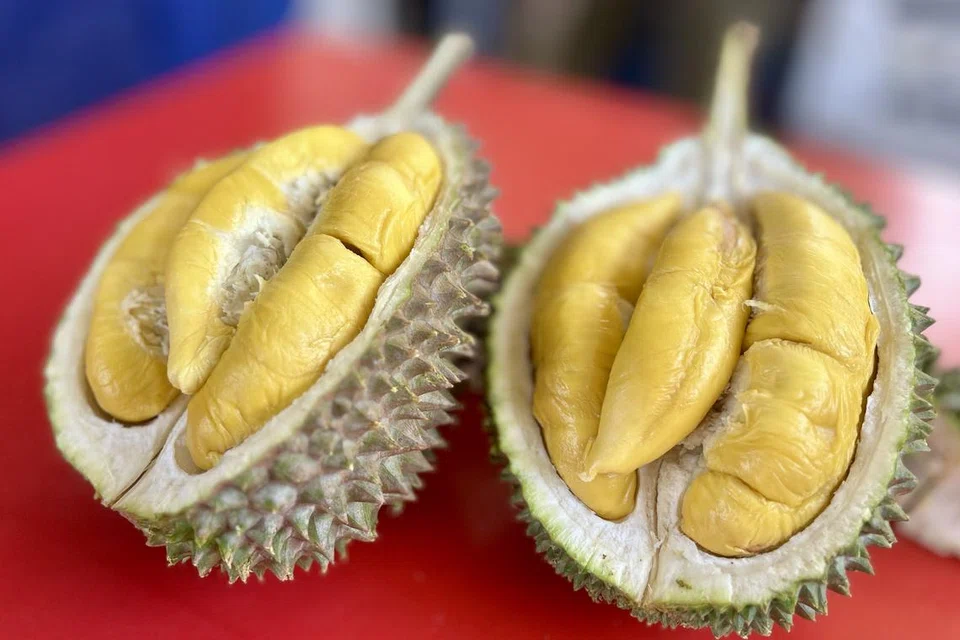 musim durian, JB, warga S’pura