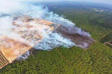 Kawasan ladang kelapa yang terbakar pada 3 Mac, menyebabkan pencemaran udara di Balok Baru, Kuantan, Pahang, dengan Indeks Pencemaran Udara (IPU) di situ mencatat paras 250, iaitu sangat tidak sihat. 