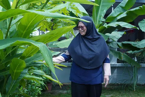 RUMAH SUDAH BERSIH: Rumah Cik Kamisah dan Encik Saini kini kembali tersusun rapi, dengan kebun di luar rumah tidak lagi seperti rimba dan kini ditanam tanaman seperti pokok papaya dan pokok belimbing buluh.