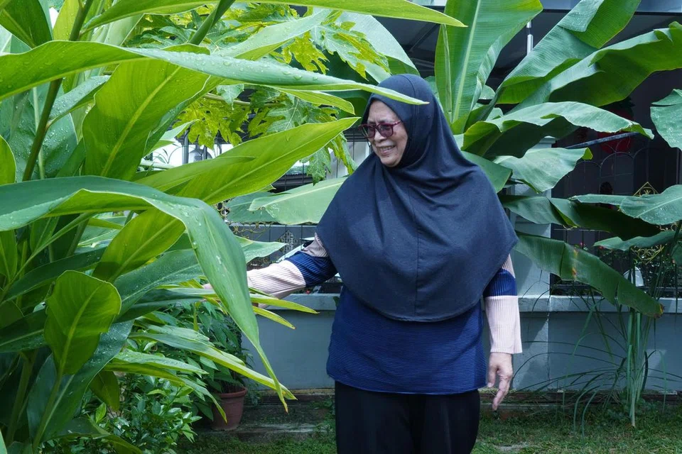 RUMAH SUDAH BERSIH: Rumah Cik Kamisah dan Encik Saini kini kembali tersusun rapi, dengan kebun di luar rumah tidak lagi seperti rimba dan kini ditanam tanaman seperti pokok papaya dan pokok belimbing buluh.