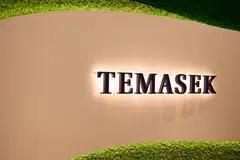 Nilai portfolio bersih, Temasek