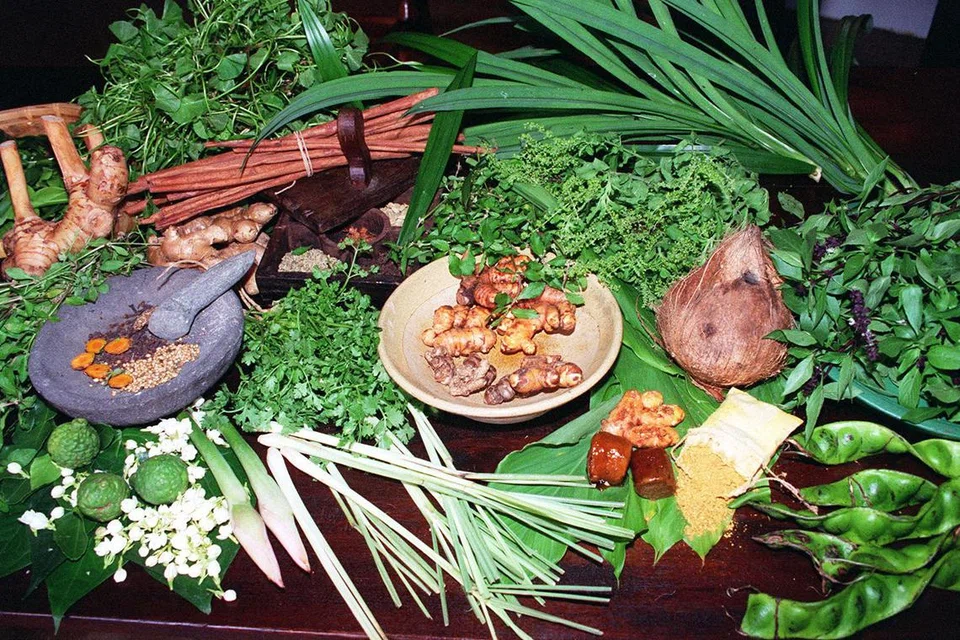LAZAT DAN BERKHASIAT: Selain penggunaan rempah-ratus, masakan orang Melayu juga banyak menggunakan bahan-bahan herba seperti serai, daun pandan, daun limau purut, daun kesum, bunga kantan, kunyit, lengkuas dan buah pala. Herba-herba itu menambahkan rasa, menaikkan aroma masakan dan meningkatkan khasiat hidangan yang dimasak.