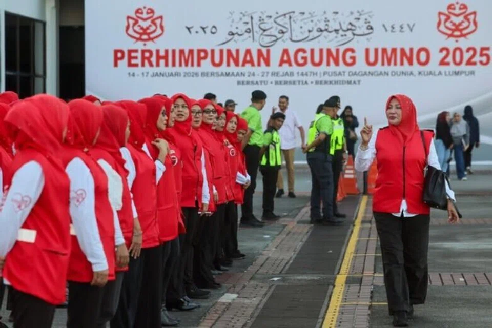 Umno, Perhimpunan Agung, kerajaan
