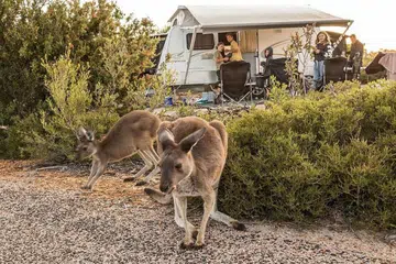 SUDAH PENUH: Cape Le Grand dan tempat seperti Lucky Bay memang popular tetapi kini pengunjung mungkin datang lebih kerap disebabkan peningkatan kemudahan dan tempahan dalam talian. - Foto ABC NEWS