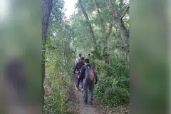 LALUAN MASUK: Jalan denai menuju ke belukar yang membawa anda ke Kuari Tampines. - Foto ihsan RAJA MUZAFFAR SHAH
