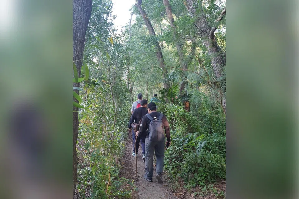 LALUAN MASUK: Jalan denai menuju ke belukar yang membawa anda ke Kuari Tampines. - Foto ihsan RAJA MUZAFFAR SHAH