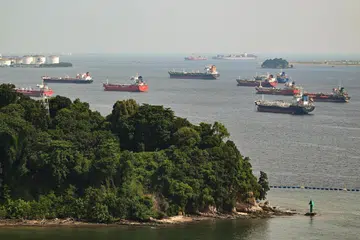 Tanjong Rimau, Sentosa, diperkukuh bagi cegah hakisan, kerosakan cerun, XblocPlus