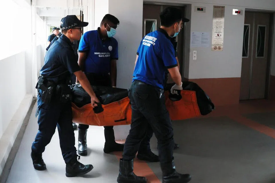 Abdul Rani Md Ariffin didakwa membunuh adiknya, Encik Abdul Rahman Mohamad Ariffin, pada 11 Mac di Blok 187 Boon Lay Avenue. 